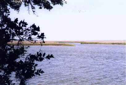 Floyd's Cut, Satilla River