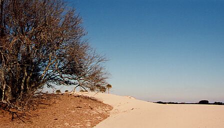 Cumberland Dunes