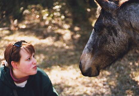 Kissy-Kissy at Horse