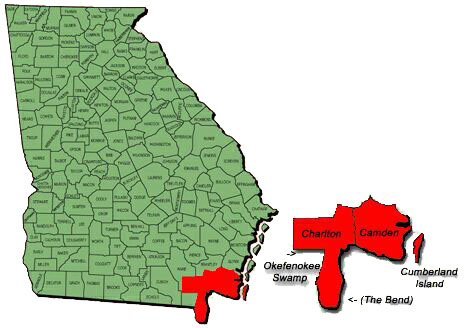 Georgia County Map