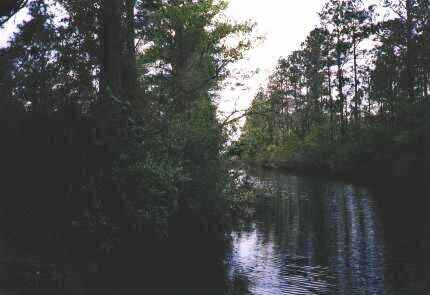 Okefenokee: Suwanee Canal