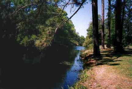 Okefenokee: Suwanee Canal