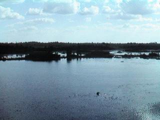 Okefenokee Waters