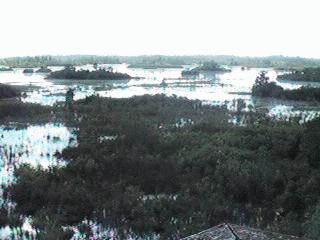 Okefenokee Waters