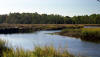 Borrell Creek, St. Marys, Georgia