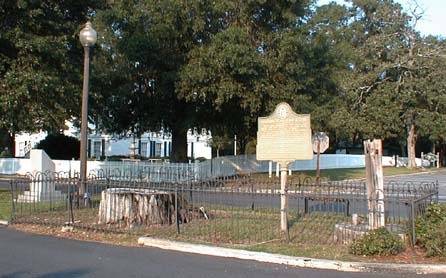 Washington Pump and Oak Tree