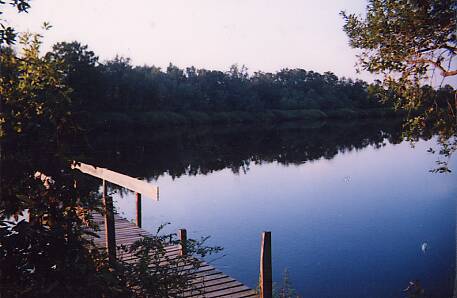 Montfort Island, Near Bullhead Bluff, on the Satilla River