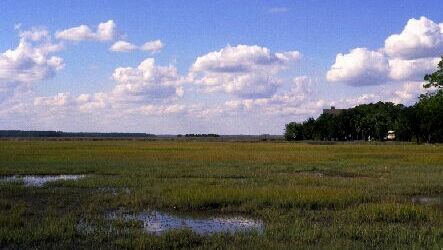 Waterfront/Marsh