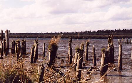 Satilla River in Woodbine